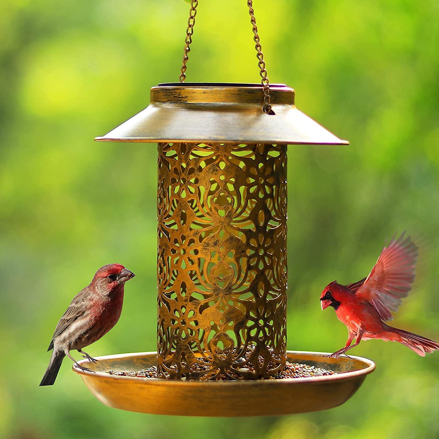 Casa per uccelli sospesa Mangi - Outdoor Lighting Decor Ideas recensione e prezzo